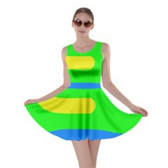 Rainbow abstraction Skater Dress