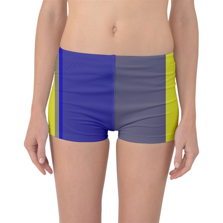 Blue and yellow lines Boyleg Bikini Bottoms