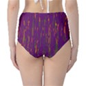 Purple pattern High-Waist Bikini Bottoms View2