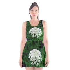 Beetle And Flower Scoop Neck Skater Dress by randolpheckel