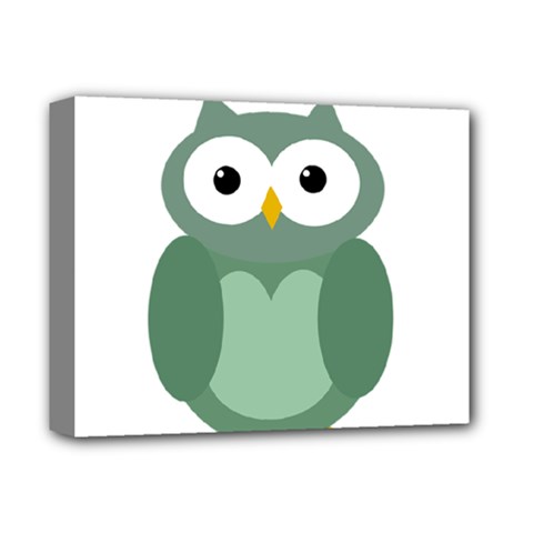 Green Cute Transparent Owl Deluxe Canvas 14  X 11 