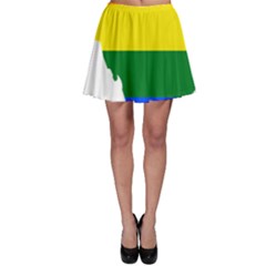 Lgbt Flag Map Of Washington, D C Skater Skirt by abbeyz71