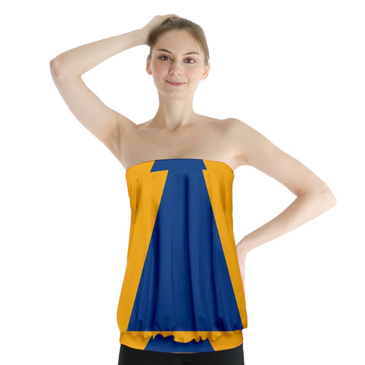 International Sign Of Civil Defense Roundel Strapless Top