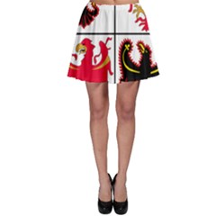 Coat of Arms of Trentino-Alto Adige Sudtirol Region of Italy Skater Skirt