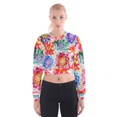 Colorful Succulents Women s Cropped Sweatshirt by DanaeStudio