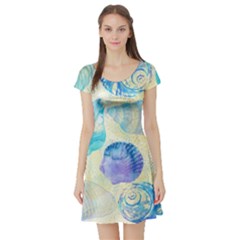 Seashells Short Sleeve Skater Dress by DanaeStudio