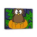 Halloween owl and pumpkin Mini Canvas 7  x 5  View1