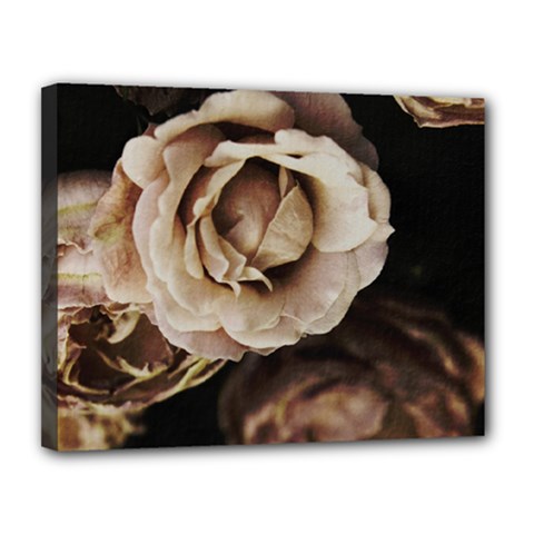 Roses Flowers Canvas 14  X 11  by vanessagf