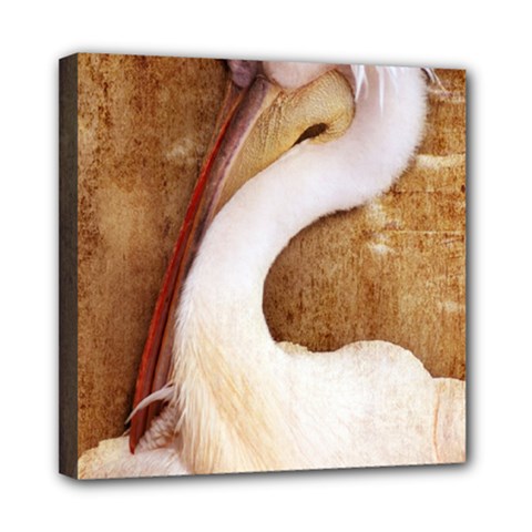 920-pelican Mini Canvas 8  X 8  by PimpinellaArt
