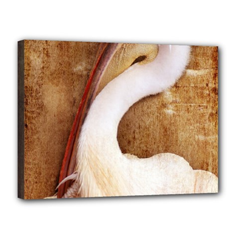 920-pelican Canvas 16  X 12  by PimpinellaArt