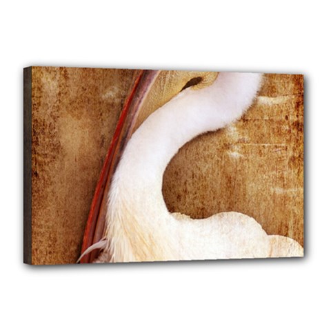 920-pelican Canvas 18  X 12  by PimpinellaArt