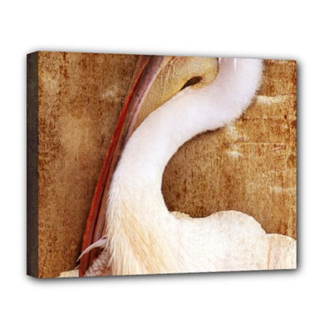 920-pelican Deluxe Canvas 20  X 16   by PimpinellaArt