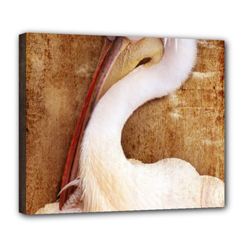 920-pelican Deluxe Canvas 24  X 20   by PimpinellaArt
