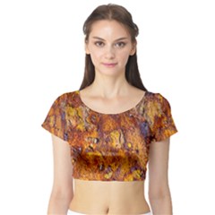 Rusted Metal Surface Short Sleeve Crop Top (tight Fit) by igorsin