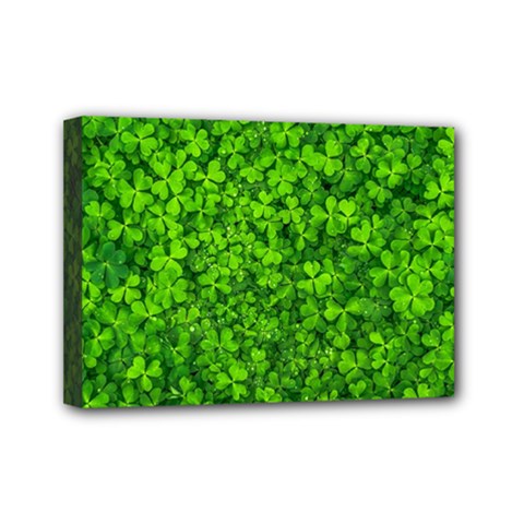 Shamrock Clovers Green Irish St  Patrick Ireland Good Luck Symbol 8000 Sv Mini Canvas 7  X 5  by yoursparklingshop
