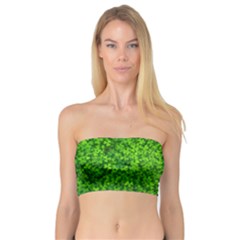 Shamrock Clovers Green Irish St  Patrick Ireland Good Luck Symbol 8000 Sv Bandeau Top by yoursparklingshop