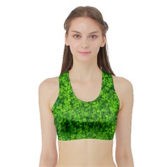 Shamrock Clovers Green Irish St  Patrick Ireland Good Luck Symbol 8000 Sv Sports Bra With Border by yoursparklingshop