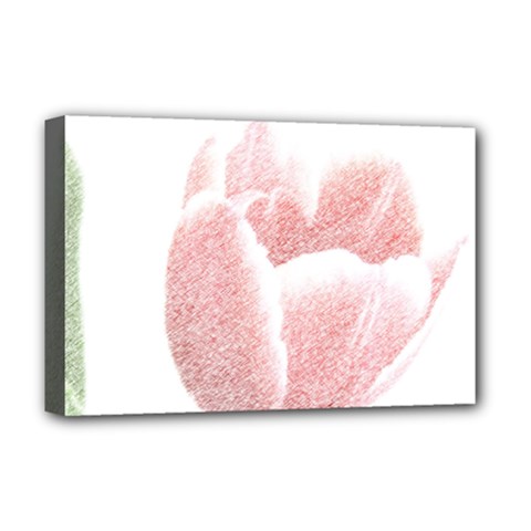 Red Tulip Pencil Drawing Deluxe Canvas 18  X 12   by picsaspassion