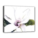 White Magnolia pencil drawing art Deluxe Canvas 20  x 16   View1
