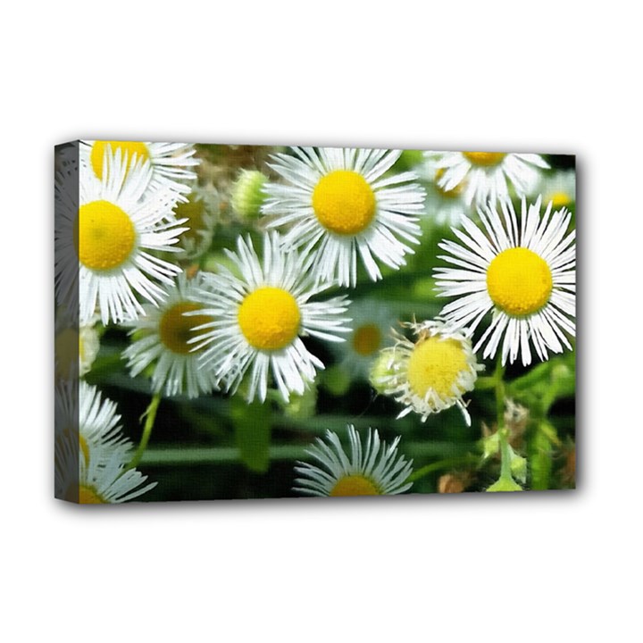 White summer flowers oil painting art Deluxe Canvas 18  x 12  