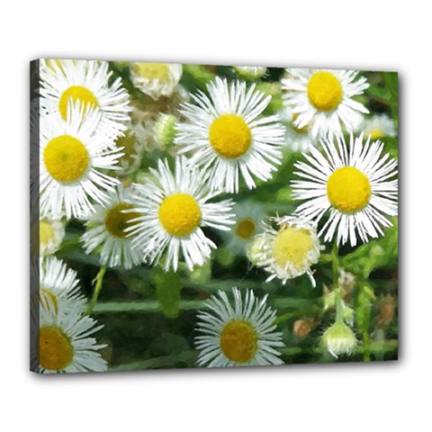 White Summer Flowers Watercolor Painting Art Canvas 20  X 16  by picsaspassion