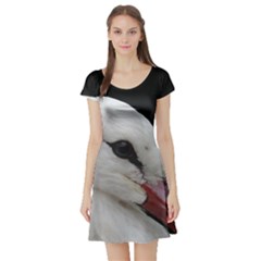 Wild Stork Bird, Close-up Short Sleeve Skater Dress by picsaspassion