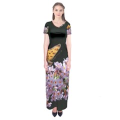 Butterfly Sitting On Flowers Short Sleeve Maxi Dress by picsaspassion