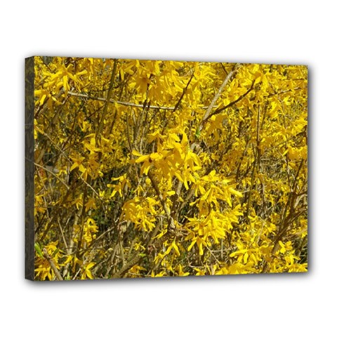 Nature, Yellow Orange Tree Photography Canvas 16  X 12  by yoursparklingshop