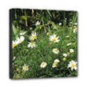Wild Daisy summer Flowers Mini Canvas 8  x 8  View1
