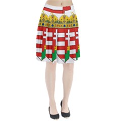 Medieval Coat Of Arms Of Hungary  Pleated Skirt by abbeyz71