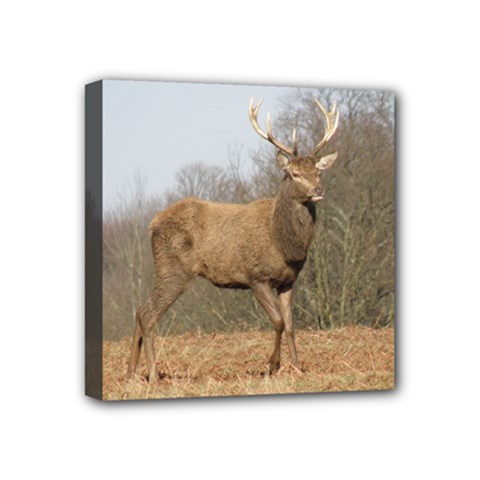 Red Deer Stag On A Hill Mini Canvas 4  X 4  by GiftsbyNature