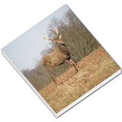 Red Deer Stag On A Hill Small Memo Pads by GiftsbyNature