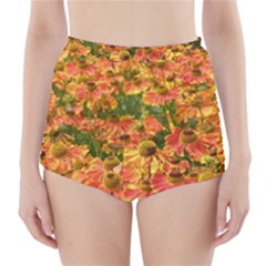 Helenium Flowers And Bees High-waisted Bikini Bottoms by GiftsbyNature