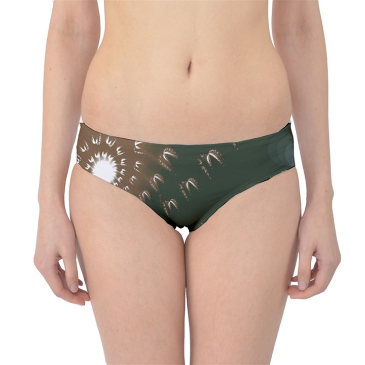 Sun-Ray Swirl Design Hipster Bikini Bottoms
