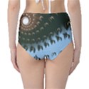 Sun-Ray Swirl Design High-Waist Bikini Bottoms View2