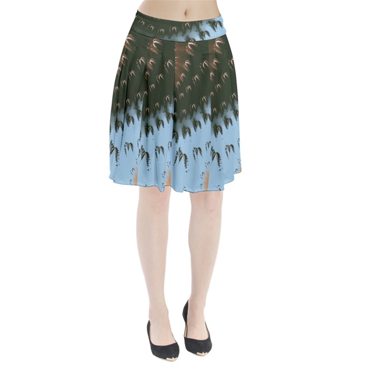 Sun-Ray Swirl Design Pleated Skirt