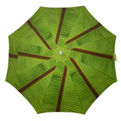 Ensete Leaf Straight Umbrellas by picsaspassion