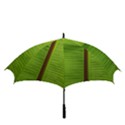 Ensete leaf Golf Umbrellas View3