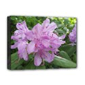 Purple Rhododendron Flower Deluxe Canvas 16  x 12   View1