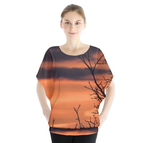 Tree Branches And Sunset Blouse by picsaspassion