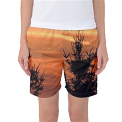 Christmas Tree And Sunset Women s Basketball Shorts by picsaspassion