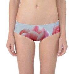 Red - White Tulip Flower Classic Bikini Bottoms by picsaspassion