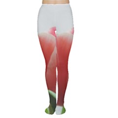 Red Tulips Women s Tights by picsaspassion
