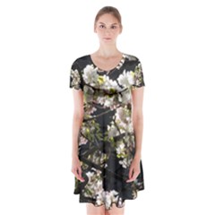 Blooming Japanese Cherry Flowers Short Sleeve V-neck Flare Dress by picsaspassion