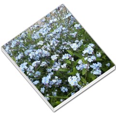 Blue Forget-me-not Flowers Small Memo Pads by picsaspassion