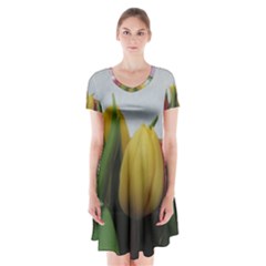Colorful Bouquet Tulips Short Sleeve V-neck Flare Dress by picsaspassion