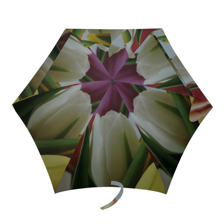 Colored by Tulips Mini Folding Umbrellas