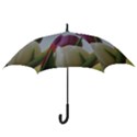 Colored by Tulips Hook Handle Umbrellas (Large) View3