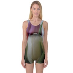 Colored By Tulips One Piece Boyleg Swimsuit by picsaspassion