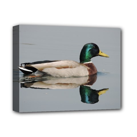 Wild Duck Swimming In Lake Deluxe Canvas 14  X 11  by picsaspassion